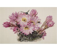 Set za vez "Cvjetajući kaktus" 39 х 27cm PANNA GMA C-1987 Set za vez "Cvjetajući kaktus" 39 х 27cm PANNA GMA C-1987