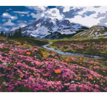Slika po brojevima "Planinska livada" 40x50cm na platnu BS34648 Brushme