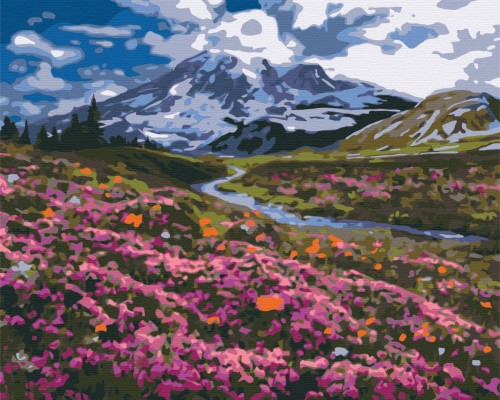 Slika po brojevima "Planinska livada" 40x50cm na platnu BS34648 Brushme