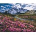 Slika po brojevima "Planinska livada" 40x50cm na platnu BS34648 Brushme