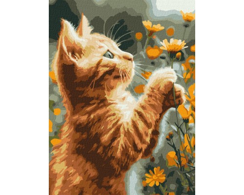 Slikanje po brojevima - Najveći izbor u CG - Povoljne cene - Brza dostava 