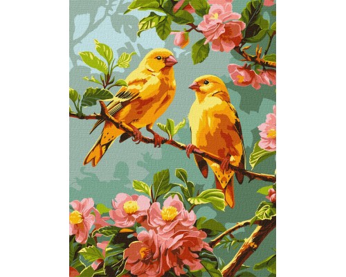 Slikanje po brojevima - Najveći izbor u CG - Povoljne cene - Brza dostava 