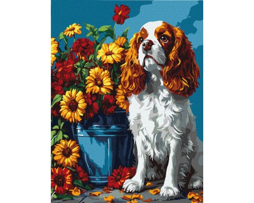 Slikanje po brojevima - Najveći izbor u CG - Povoljne cene - Brza dostava 