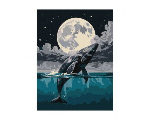 Slikanje po brojevima - Najveći izbor u CG - Povoljne cene - Brza dostava 