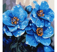 Slika po brojevima "Ljubičice svako jutro" 30x30cm na platnu KHO3317