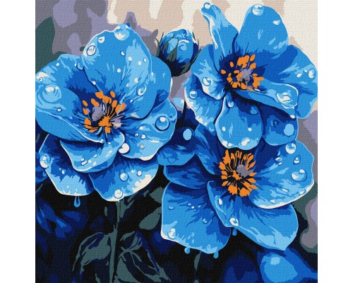 Slikanje po brojevima - Najveći izbor u CG - Povoljne cene - Brza dostava