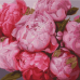 Slikanje po brojevima "Nježni peonies" 50x50 IDY KHO2986