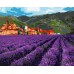 Slikanje po brojevima "Planinska lavanda" 40x50 IDY KH2216