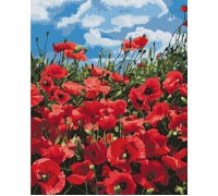 Slikanje po brojevima "Nevjerojatni makovi" 40x50 IDY KH2287