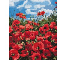 Slikanje po brojevima "Nevjerojatni makovi" 40x50 IDY KH2287