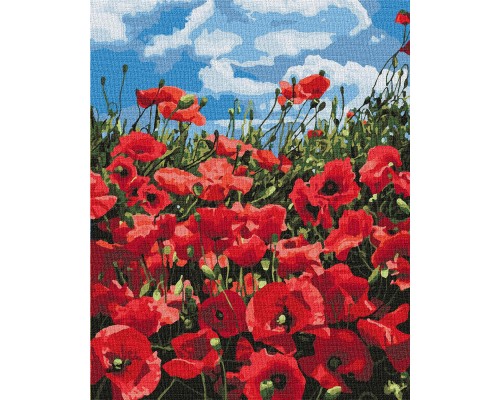 Slikanje po brojevima "Nevjerojatni makovi" 40x50 IDY KH2287