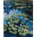 Slikanje po brojevima "Lopoči. Claude Monet" 40x50 IDY KH2858