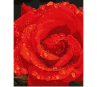Painting by Numbers "A Rose in Diamonds" 40x50 IDY KHO3207