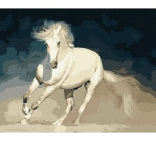 Slikanje po brojevima "Bela milost" 40x50 IDY KH4324