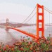 Slikanje po brojevima "Jutro San Francisco" 50x50 IDY KHO3596