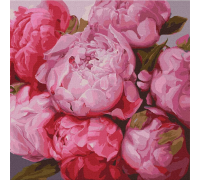 Slikanje po brojevima "Nježni peonies" 50x50 IDY KHO2986