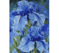 Slikanje po brojevima "Plavi iris" 30x40 IDY KHO2988