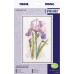 Set za vez "Akvarel Iris" 16.5 х 26cm PANNA GMA C-7265